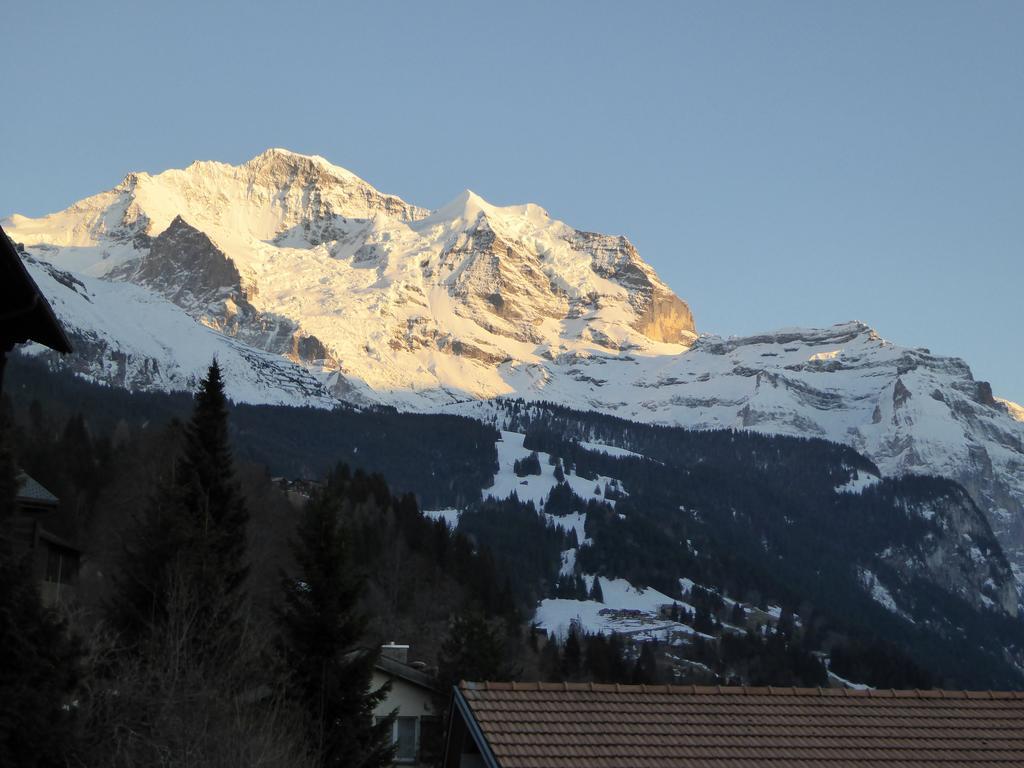 Chalet Gerbera Apartman Wengen Szoba fotó